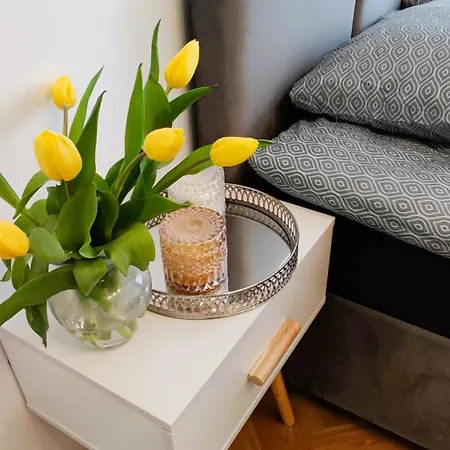 Apartamento Strzelecka 19