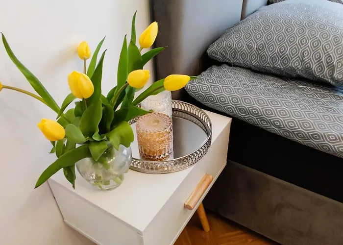 Apartman Strzelecka 19